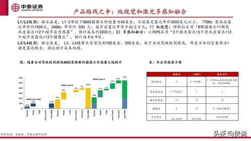 澳门旅游团精准指南：2023年11月19日重点讨论与解读路径_CUF3.10.94社区版