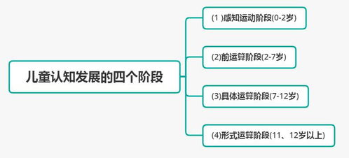 2024新版新奥精准资料全解析，理论依据与定义概述_NGY7.20.57优雅版