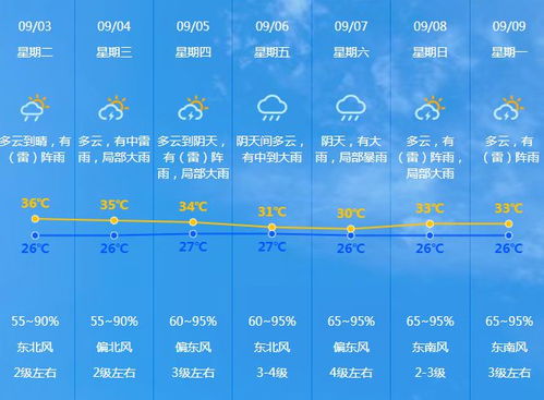 新乡市天气预报分析，聚焦天气变化与个人影响（11月19日最新）