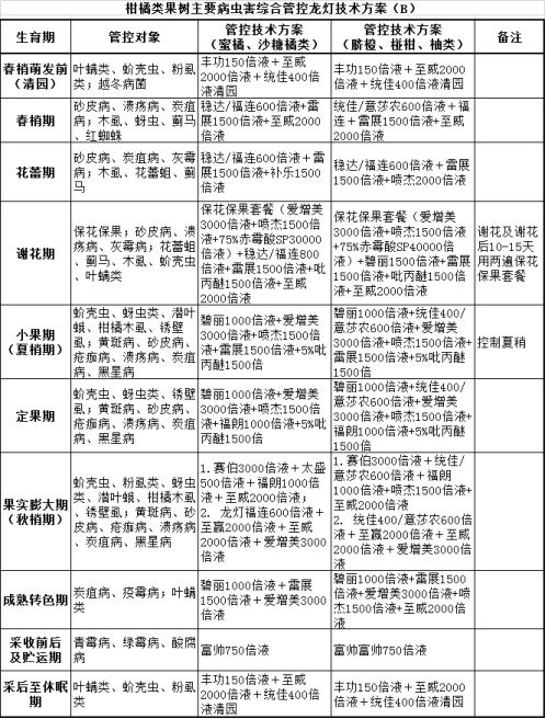 2024新澳最精准资料大全326期,谋略解答解释落实_XBW4.72.35通玄境