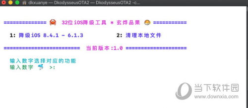 2024今晚开特马开奖结果,快捷解决方案分析_FXV6.38.26领航版