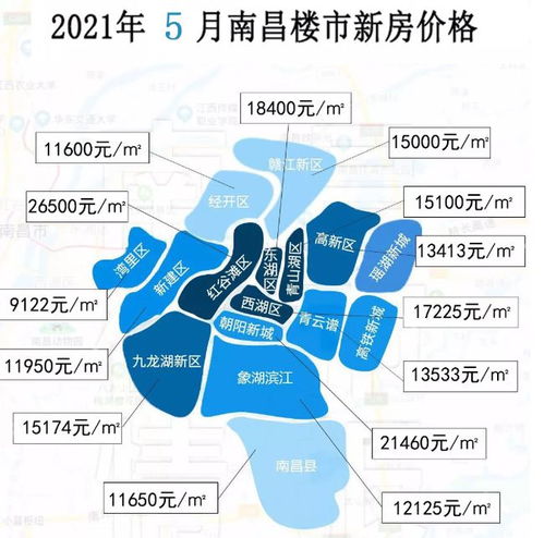 五龙高卫钧最新视频解析，三大要点深度探讨（往年11月20日发布）