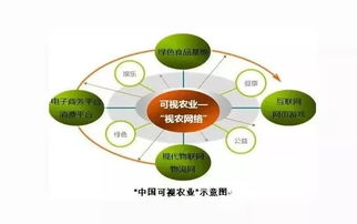 新澳精准资料免费提供265期,权威分析解答解释方案_AMB3.48.85家庭影院版