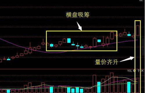 三肖必中特三肖必中,详细剖析解答解释计划_JPD4.73.44动画版