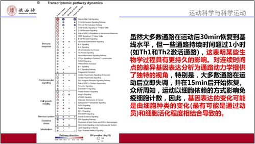 澳门资料大全,正版资料查询,实地解读说明_DLH8.29.74云技术版