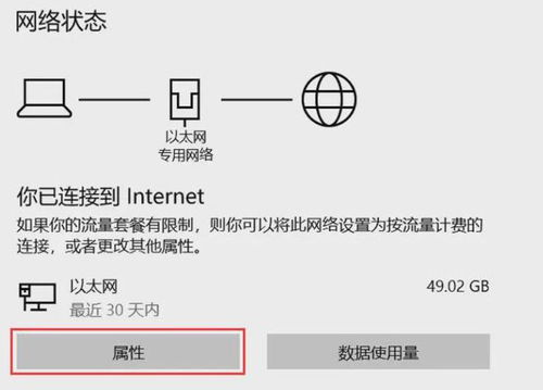 2024特马今晚开奖,严实解答解释落实_PPR1.62.84Allergo版(意为轻快)