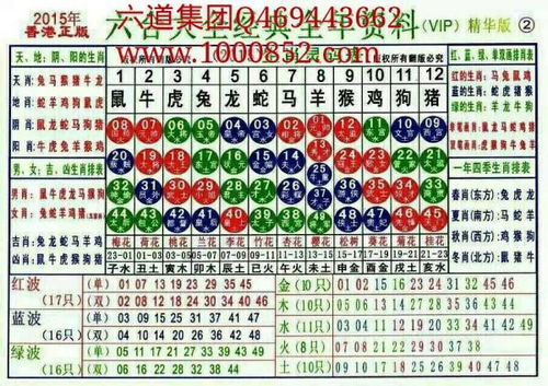 2024十二生肖49码表,数据设计解析整合_世界版VPF8.66