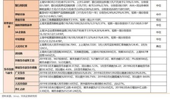 新澳门开奖结果+开奖结果,精细化解析策略_探索版FJR9.65