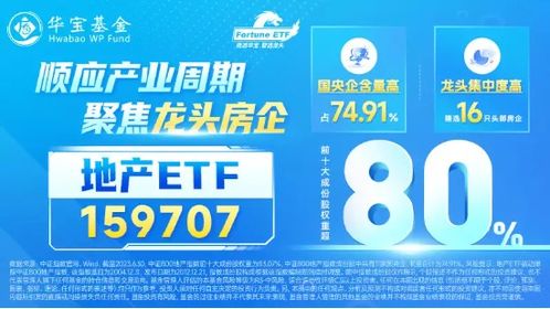 2024香港正版资料免费大全精准,积极解答解释落实_限量版DRC6.32