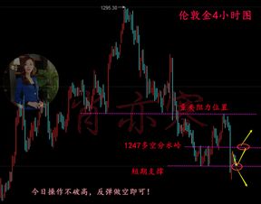 新澳门今晚必开一肖一特,远景解释实施解答_日常版KAC6.77