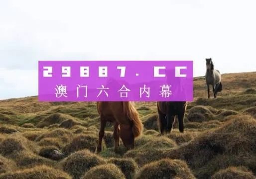 澳门4949开奖现场直播+开,综合策略解答落实_持久版TSR1.49