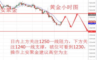 探索 第324页