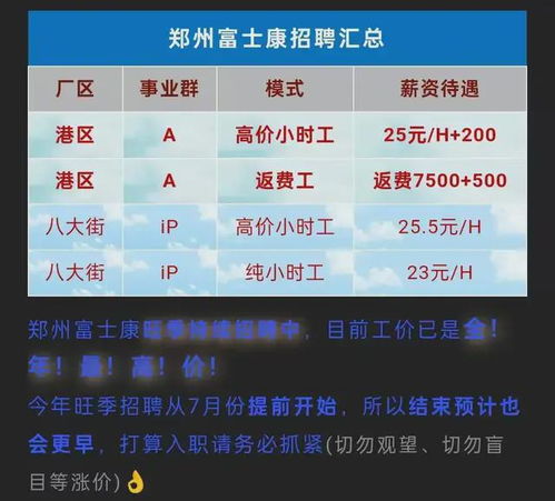 阳谷县最新招聘，阳光下的工作奇遇与友情的温暖邂逅（2024年11月22日）