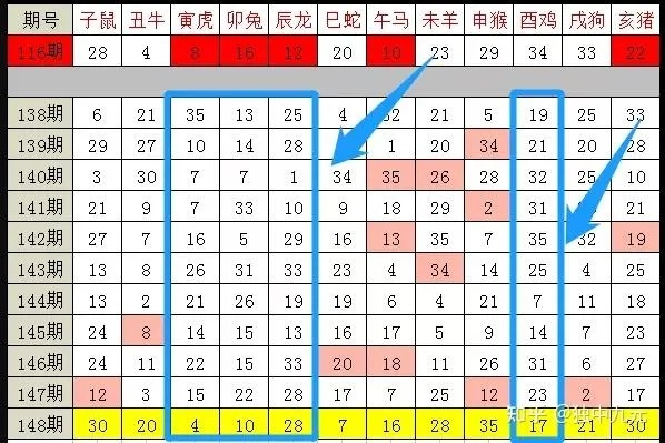 2024十二生肖49个码,專家解析意見_MLK5.63