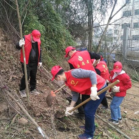 疫情变迁下的学习自信与未来共筑美好梦想，历年11月22日最新动态观察