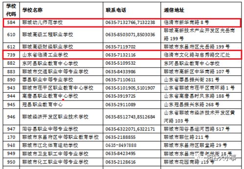 2024新奥资料免费公开,快速产出解决方案_XVW5.51