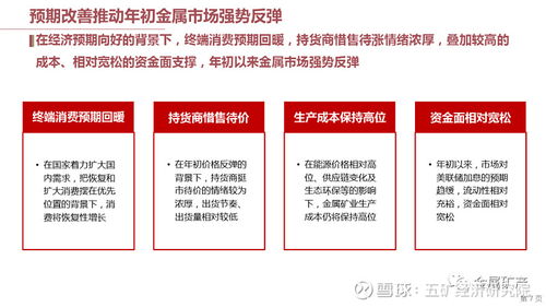 2023澳门管家婆资料正版大全,决策信息解释_NED5.69