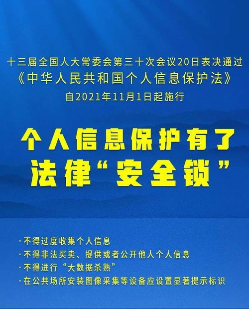 2024新奥正版资料最精准免费大全,解析解释说法_IQP5.10