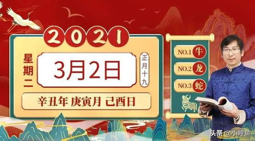 2024特马今晚开奖,全面设计实施_XJC5.71