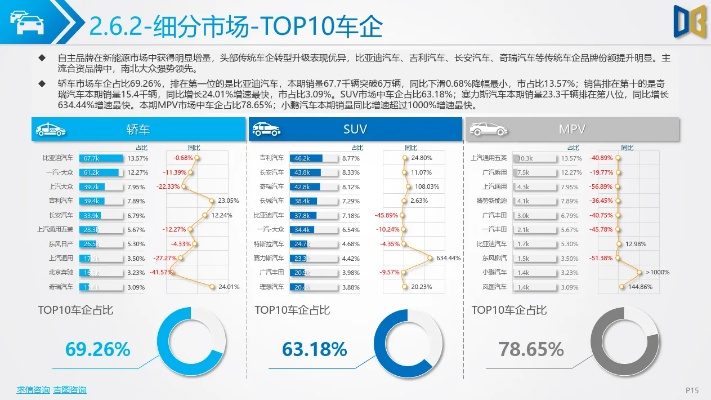 2024新澳门正版免费资料车,实践数据分析评估_PUN5.99