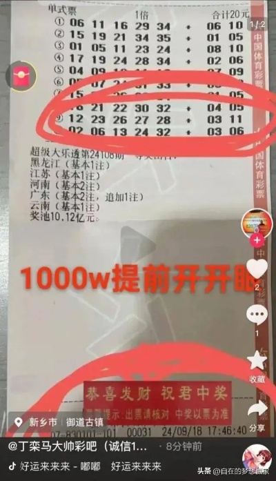 一肖一码100准中奖攻略开封,专家意见法案_UNM5.2