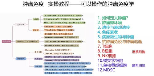 2024年正版资料免费大全中特,可靠执行操作方式_TMM5.59