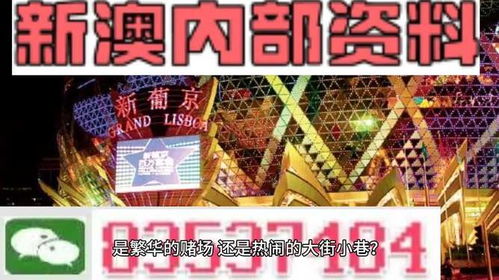 管家婆2024精准资料成语平特,精细化实施分析_HWH5.49