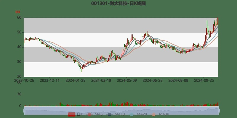 2024王中王资料大全公开,定性解析明确评估_BWI5.78