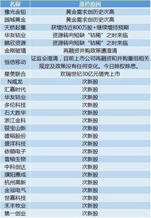 2024新澳门今晚开奖号码和香港,全面信息解释定义_BHM5.97