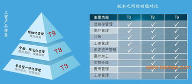 管家婆资料精准一句真言,效率评估方案_FLI5.59