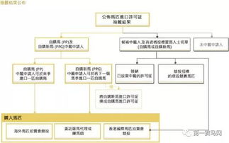 7777788888香港马,完善实施计划_HKX5.14