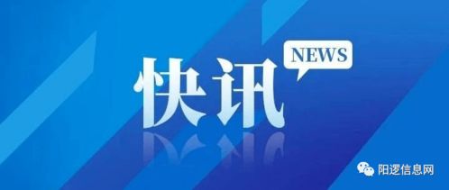 往年11月22日石家庄电工招聘热门信息深度解析与探讨。