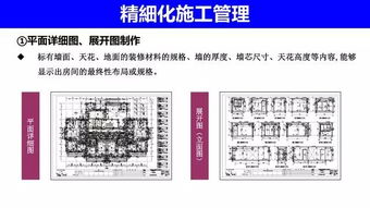 内部二肖二码,精细化实施分析_掌中宝AYX5.17