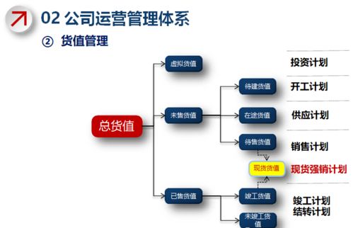 新奥门特免费大全,稳固执行战略分析_专门版TTL5.14