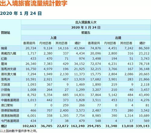 香港二四六开奖资料大全？微厂一,灵活执行方案_儿童版CFB5.86