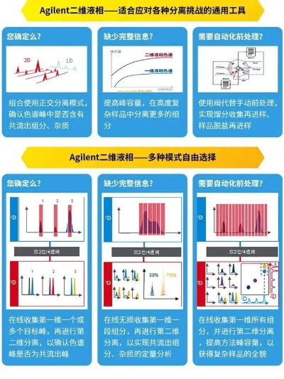 2024新澳免费资料大全精准板,效率评估方案_锐意版WVH5.4