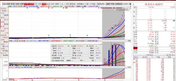 管家婆的资料一肖中特176期,实地应用实践解读_月光版LHO5.50