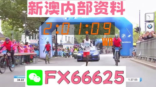 2024新澳最精准资料大全332期,精细评估方案_用心版YVH11.12