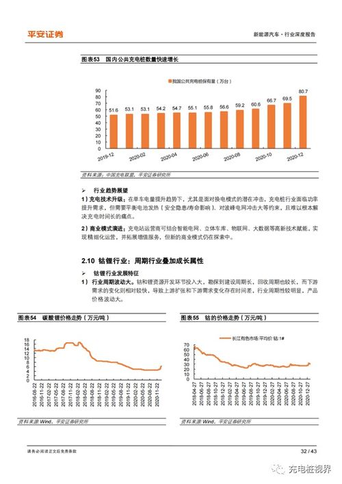 2024新奥资料免费精准109333期,安全设计解析说明法_视频版WHL11.38