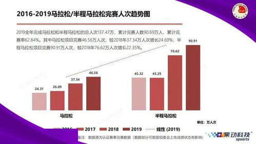 2024年新澳门今晚开奖结果,数据详解说明_体现版MVH13.33