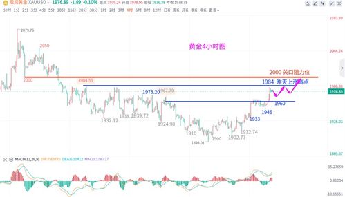 六开奖澳门开奖结果最新416期,实用性解读策略_改制版ZWC13.14