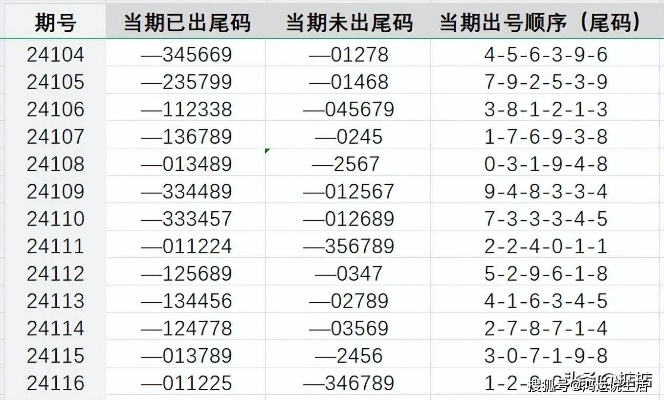 王中王72385.cσm.7229查询,灵活性执行方案_美学版CZI13.72