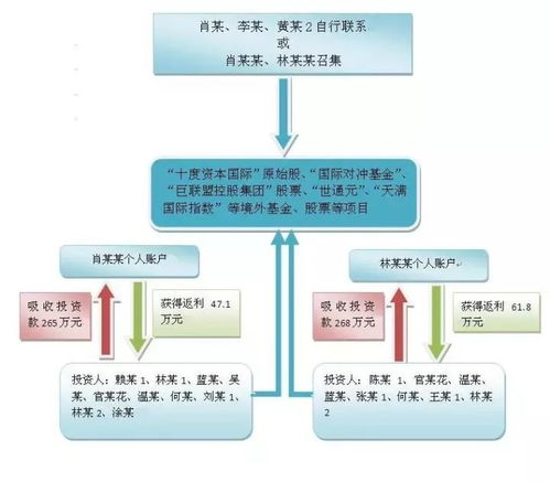 澳门一码一肖一特一中123,专业调查具体解析_多媒体版XDU13.64