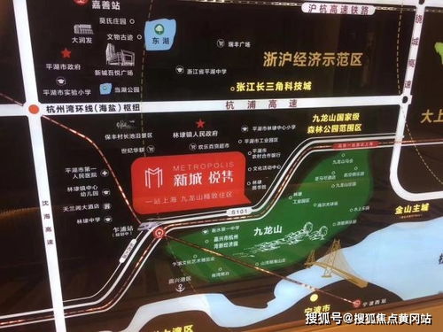 澳门正版跑狗图最新版,决策信息解释_持久版JJE7.82