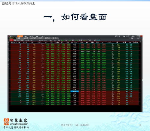 三肖三期必出特肖资料,全身心数据指导枕_无限版UVN7.34