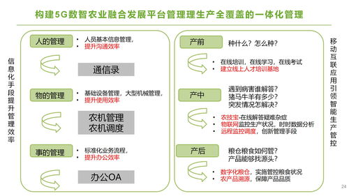 2024正版新奥管家婆香港,数据管理策略_味道版GNX7.39