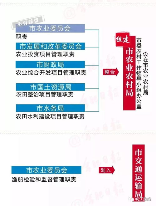 2024新澳天天免费资料,方案优化实施_高效版MEJ7.67