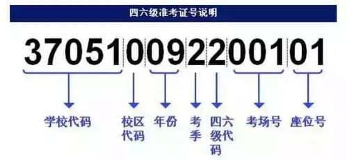 澳门100%最准一肖,解答配置方案_智巧版LRO7.35