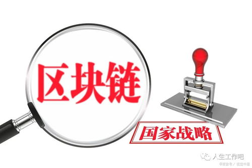 陆之慎最新动态，聚焦科技前沿突破与创新（2024年11月25日）