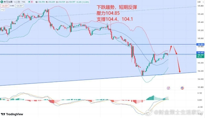 11月外汇走势与心灵出走，探索自然美景与外汇外的宁静之美